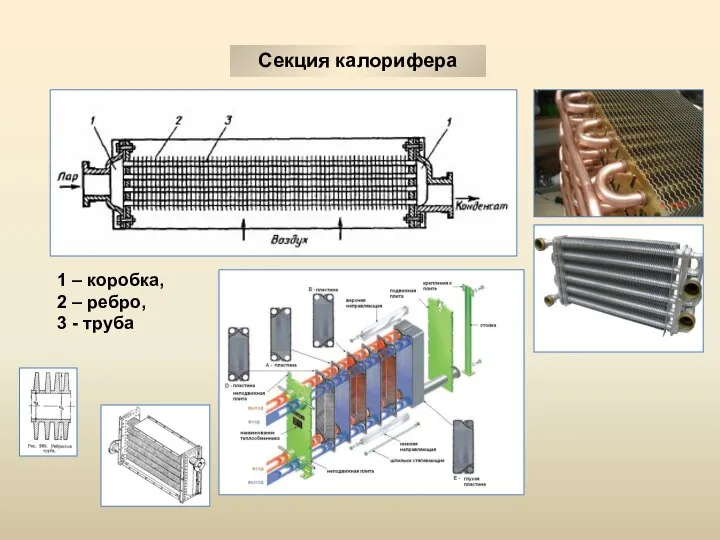 Секция калорифера 1 – коробка, 2 – ребро, 3 - труба