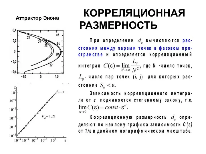 КОРРЕЛЯЦИОННАЯ РАЗМЕРНОСТЬ Аттрактор Энона