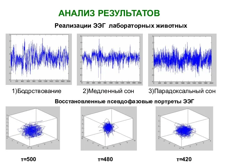 Реализации ЭЭГ лабораторных животных 1)Бодрствование 2)Медленный сон 3)Парадоксальный сон АНАЛИЗ РЕЗУЛЬТАТОВ