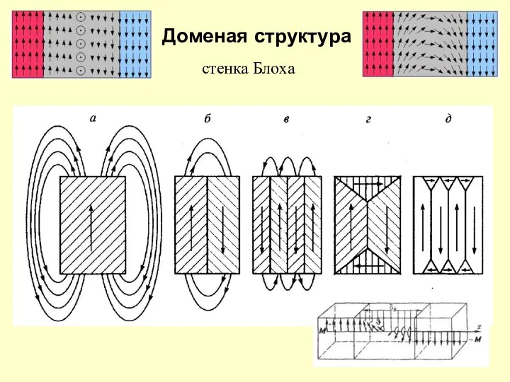 Доменая структура