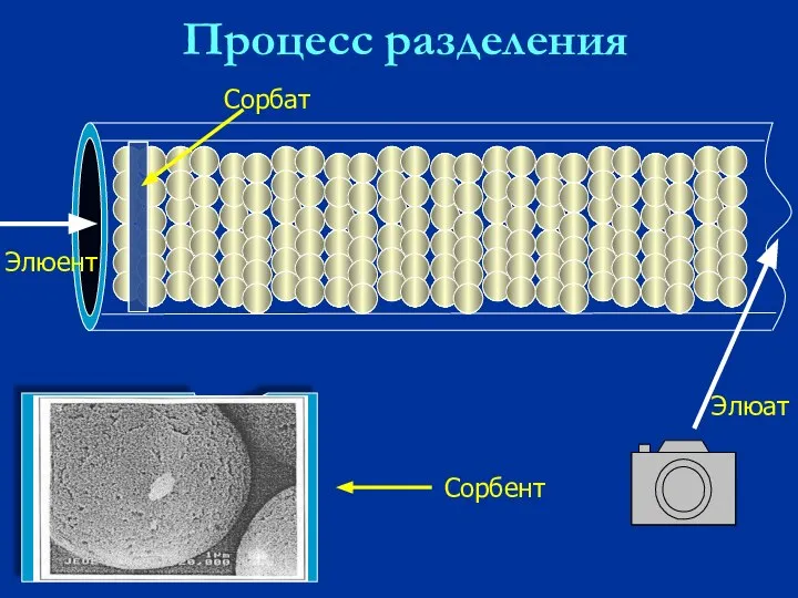 Процесс разделения Элюент Элюат