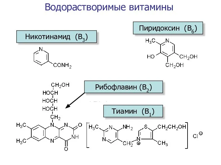 Водорастворимые витамины