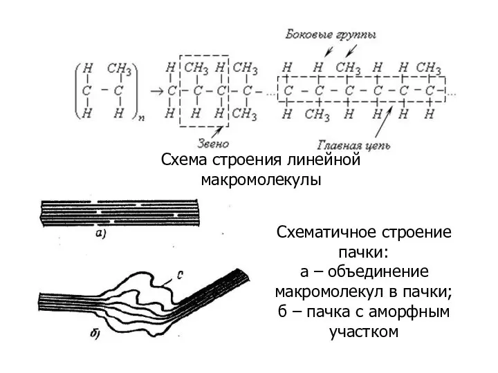 Схема строения линейной макромолекулы Схематичное строение пачки: а – объединение макромолекул