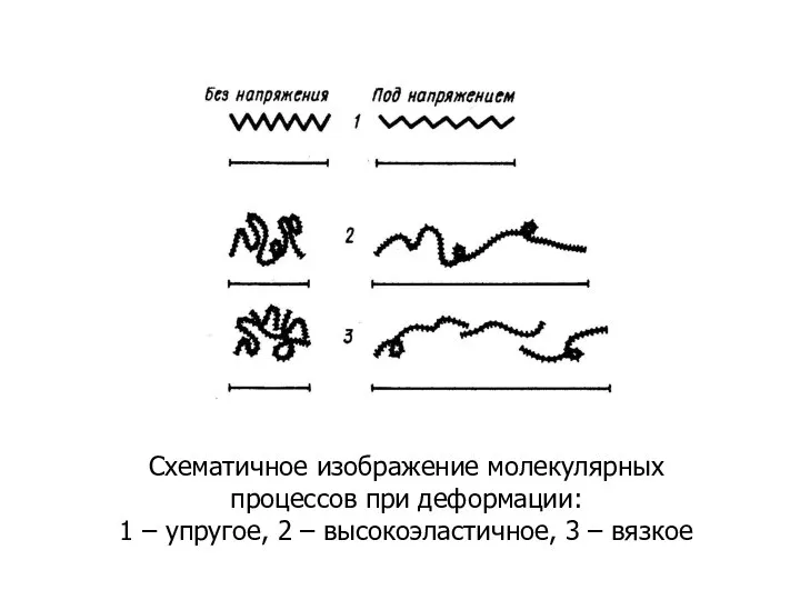 Схематичное изображение молекулярных процессов при деформации: 1 – упругое, 2 – высокоэластичное, 3 – вязкое