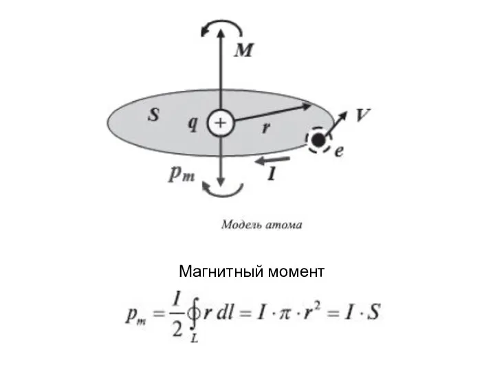 Магнитный момент