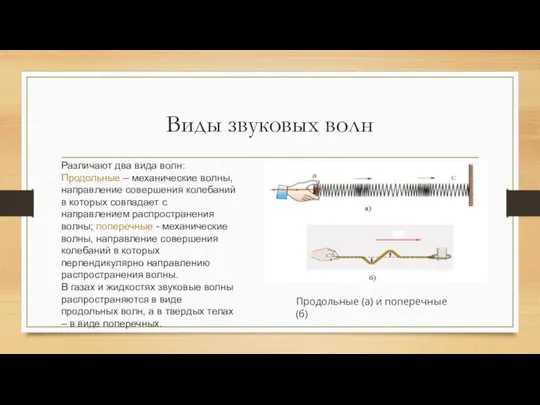 Виды звуковых волн Различают два вида волн: Продольные – механические волны,