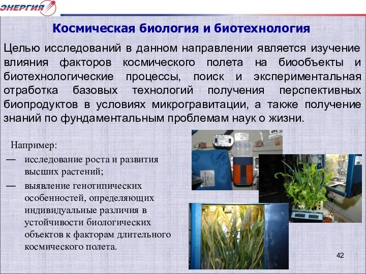 Например: исследование роста и развития высших растений; выявление генотипических особенностей, определяющих