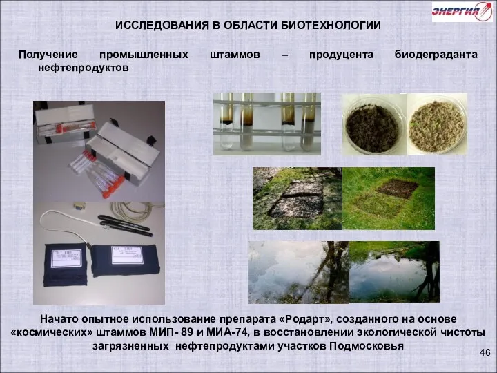 Начато опытное использование препарата «Родарт», созданного на основе «космических» штаммов МИП-