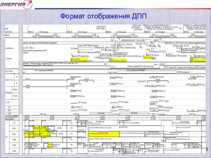 Формат отображения ДПП