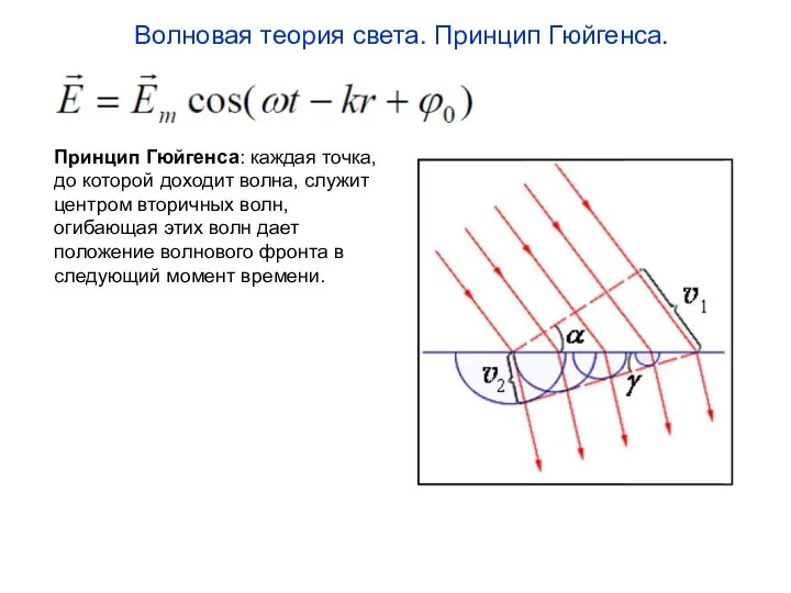 Принцип Гюйгенса: каждая точка, до которой доходит волна, служит центром вторичных