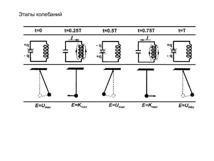 Этапы колебаний