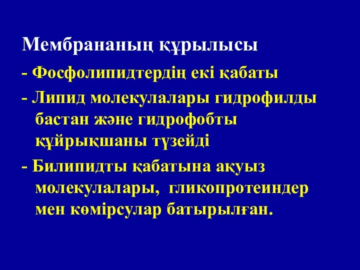 - Фосфолипидтердің екі қабаты - Липид молекулалары гидрофилды бастан және гидрофобты