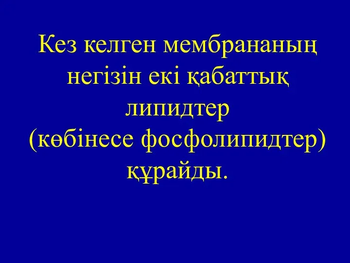 Кез келген мембрананың негізін екі қабаттық липидтер (көбінесе фосфолипидтер) құрайды.