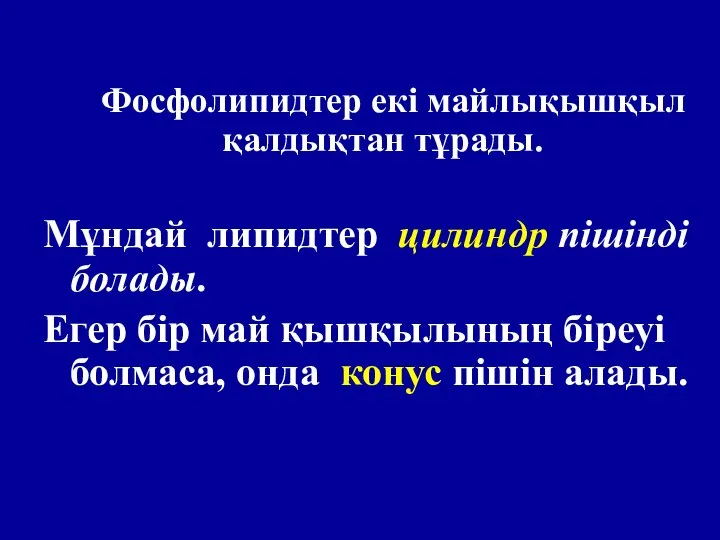 Фосфолипидтер екі майлықышқыл қалдықтан тұрады. Мұндай липидтер цилиндр пішінді болады. Егер