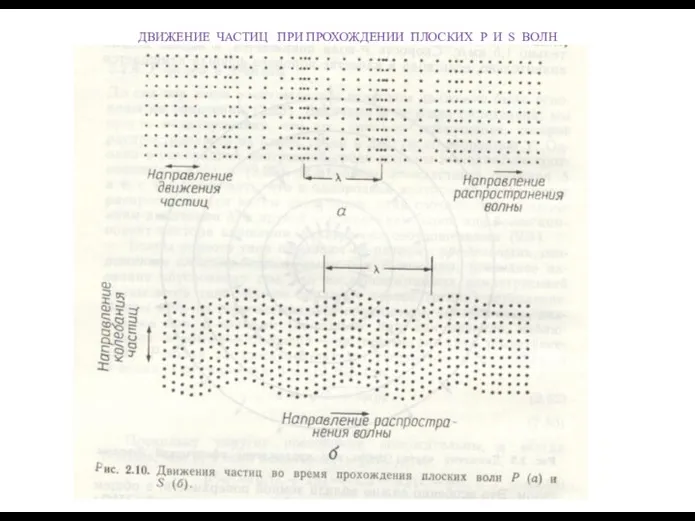 ДВИЖЕНИЕ ЧАСТИЦ ПРИ ПРОХОЖДЕНИИ ПЛОСКИХ P И S ВОЛН