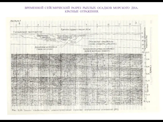 ВРЕМЕННОЙ СЕЙСМИЧЕСКИЙ РАЗРЕЗ РЫХЛЫХ ОСАДКОВ МОРСКОГО ДНА. КРАТНЫЕ ОТРАЖЕНИЯ.