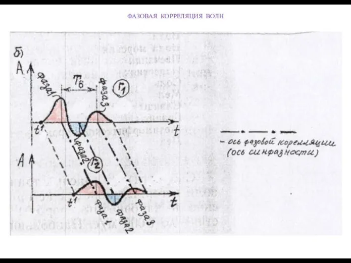 ФАЗОВАЯ КОРРЕЛЯЦИЯ ВОЛН