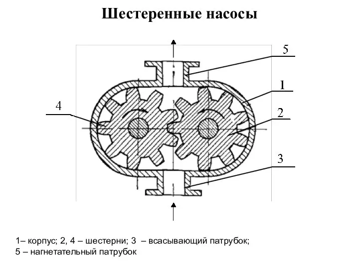 Шестеренные насосы 1– корпус; 2, 4 – шестерни; 3 – всасывающий патрубок; 5 – нагнетательный патрубок