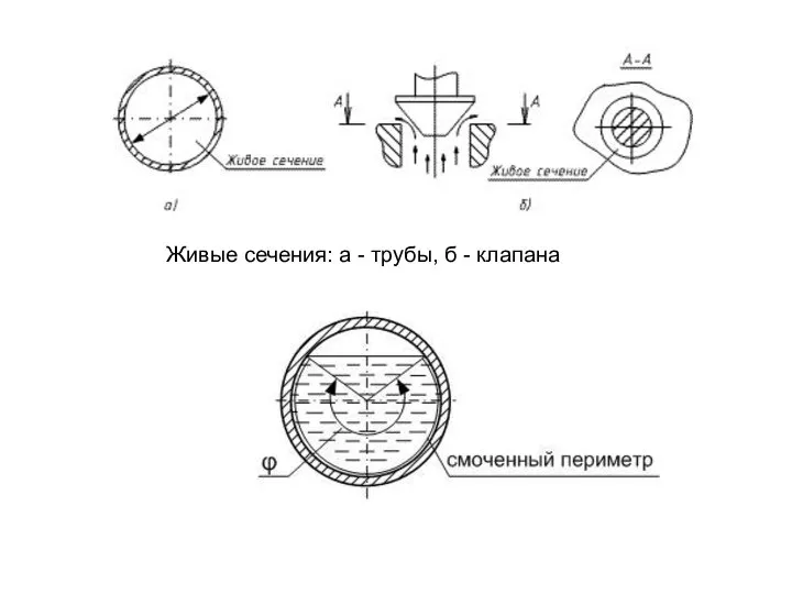 Живые сечения: а - трубы, б - клапана