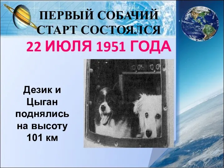 ПЕРВЫЙ СОБАЧИЙ СТАРТ СОСТОЯЛСЯ 22 ИЮЛЯ 1951 ГОДА Дезик и Цыган поднялись на высоту 101 км