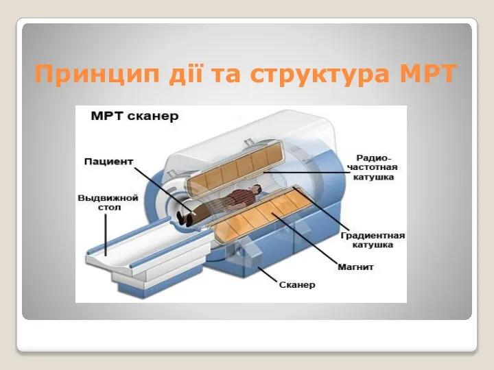 Принцип дії та структура МРТ