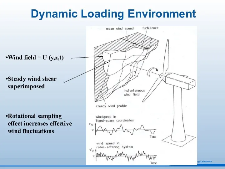 Wind field = U (y,z,t) Steady wind shear superimposed Rotational sampling