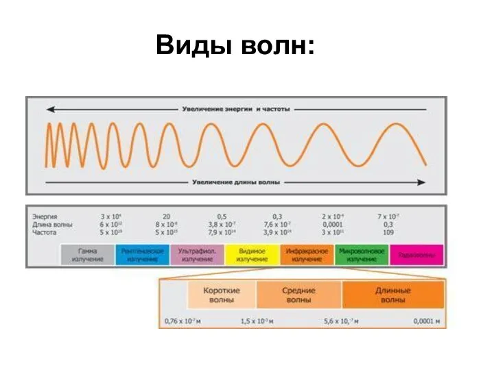 Виды волн: