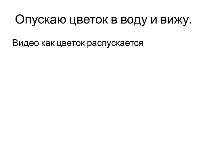 Опускаю цветок в воду и вижу. Видео как цветок распускается