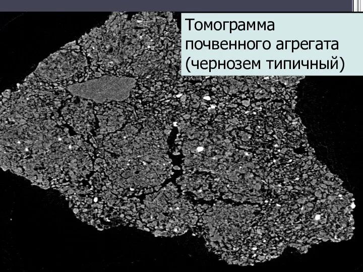 Томограмма почвенного агрегата (чернозем типичный)