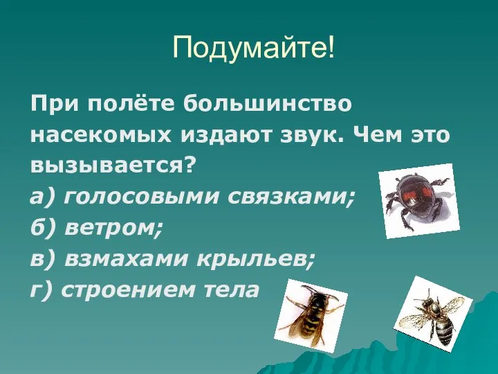 Подумайте! При полёте большинство насекомых издают звук. Чем это вызывается? а)