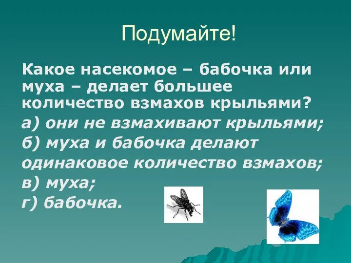 Подумайте! Какое насекомое – бабочка или муха – делает большее количество