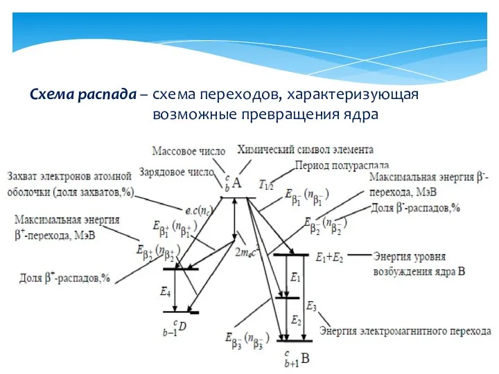 Схема распада – схема переходов, характеризующая возможные превращения ядра