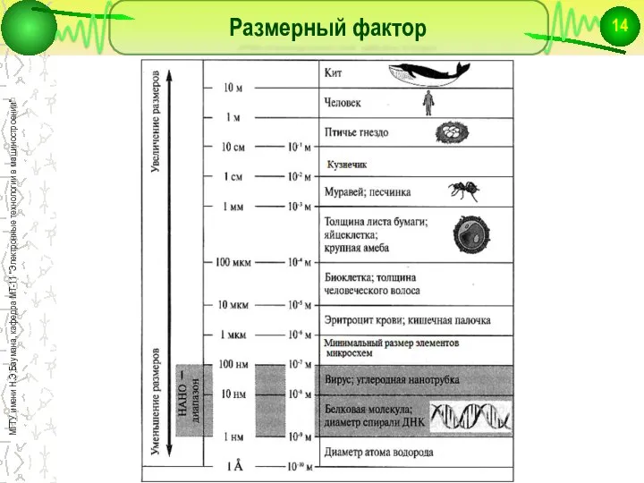 Размерный фактор