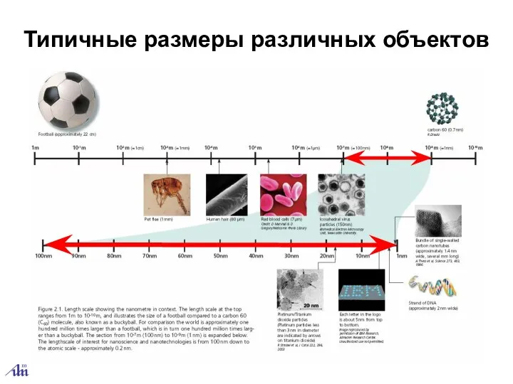 Типичные размеры различных объектов