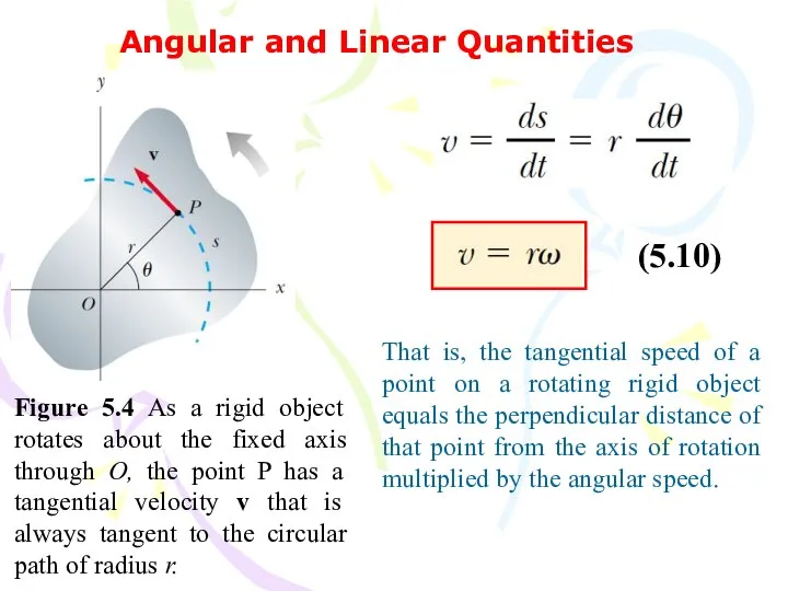 Angular and Linear Quantities Figure 5.4 As a rigid object rotates