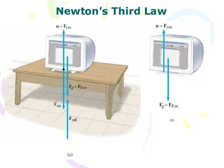 Newton’s Third Law