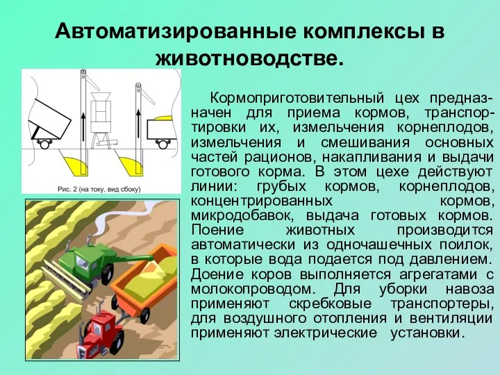 Автоматизированные комплексы в животноводстве. Кормоприготовительный цех предназ-начен для приема кормов, транспор-тировки