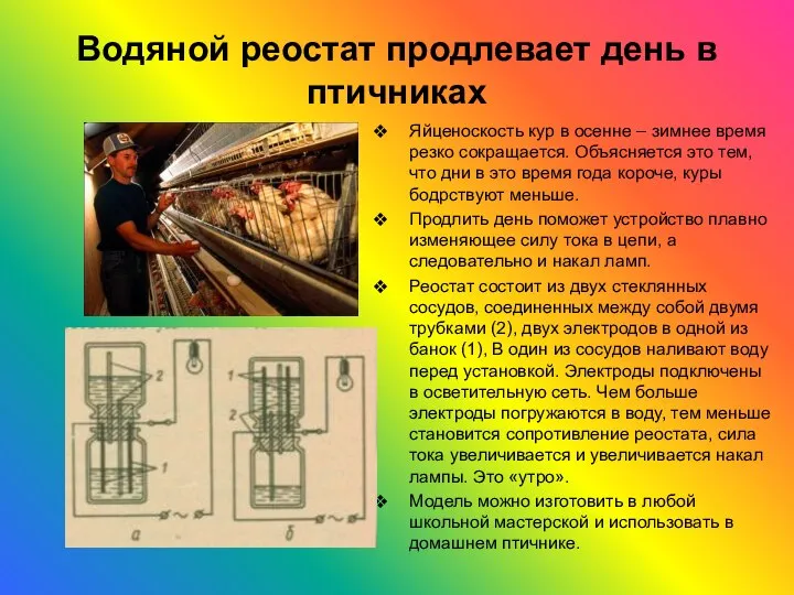 Водяной реостат продлевает день в птичниках Яйценоскость кур в осенне –