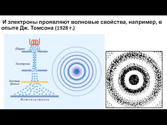 И электроны проявляют волновые свойства, например, в опыте Дж. Томсона (1928 г.)