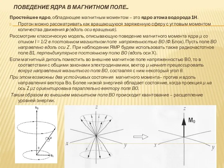 ПОВЕДЕНИЕ ЯДРА В МАГНИТНОМ ПОЛЕ.. Простейшее ядро, обладающее магнитным моментом –