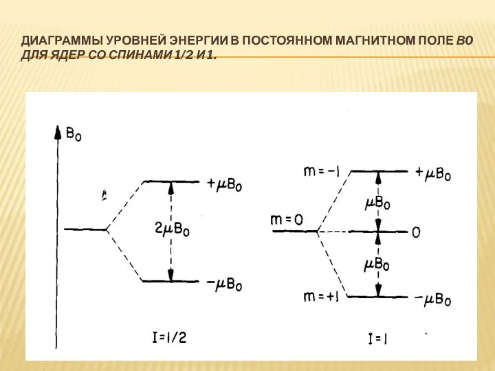 ДИАГРАММЫ УРОВНЕЙ ЭНЕРГИИ В ПОСТОЯННОМ МАГНИТНОМ ПОЛЕ В0 ДЛЯ ЯДЕР СО СПИНАМИ 1/2 И 1.