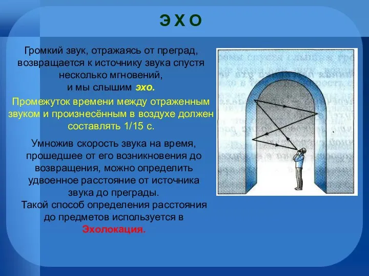 Э Х О Громкий звук, отражаясь от преград, возвращается к источнику