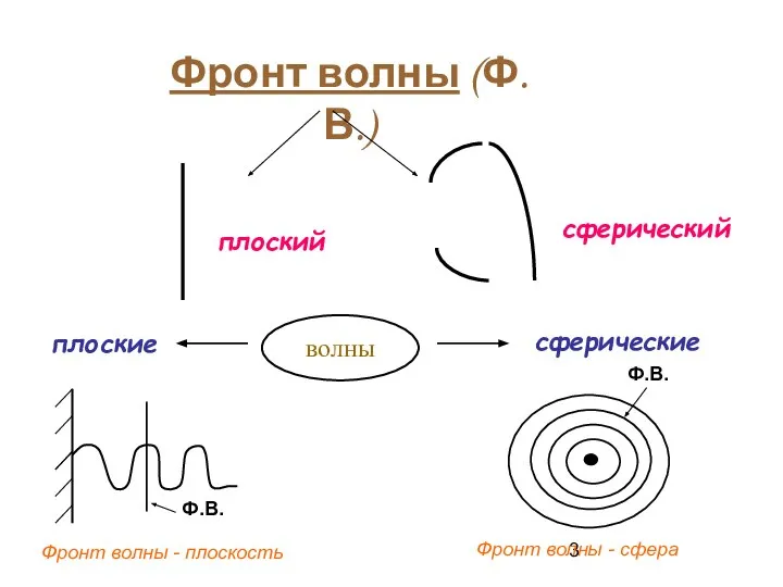 Фронт волны (Ф.В.) плоский сферический плоские сферические Фронт волны - плоскость Фронт волны - сфера