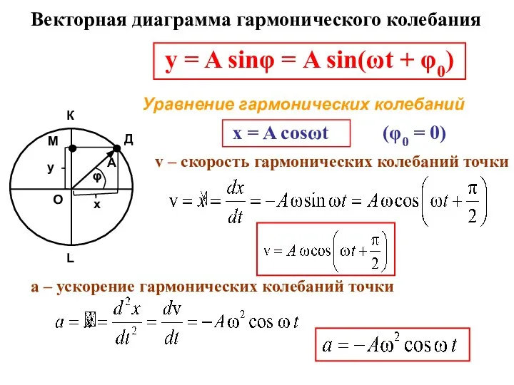 y = A sinφ = A sin(ωt + φ0) Уравнение гармонических