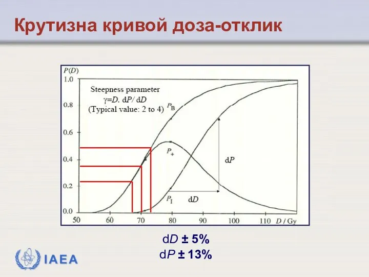 dD ± 5% dP ± 13% Крутизна кривой доза-отклик