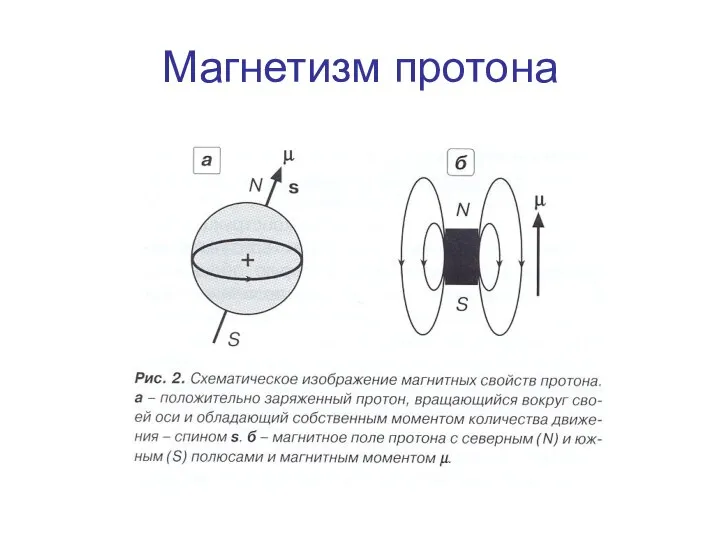 Магнетизм протона