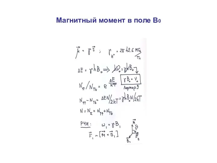 Магнитный момент в поле В0