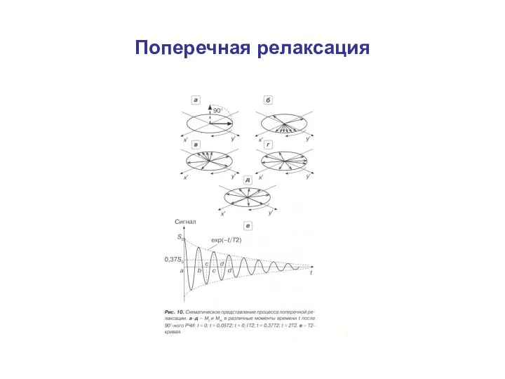 Поперечная релаксация