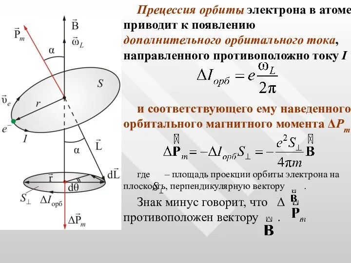 Прецессия орбиты электрона в атоме приводит к появлению дополнительного орбитального тока,