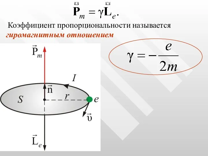 Коэффициент пропорциональности называется гиромагнитным отношением